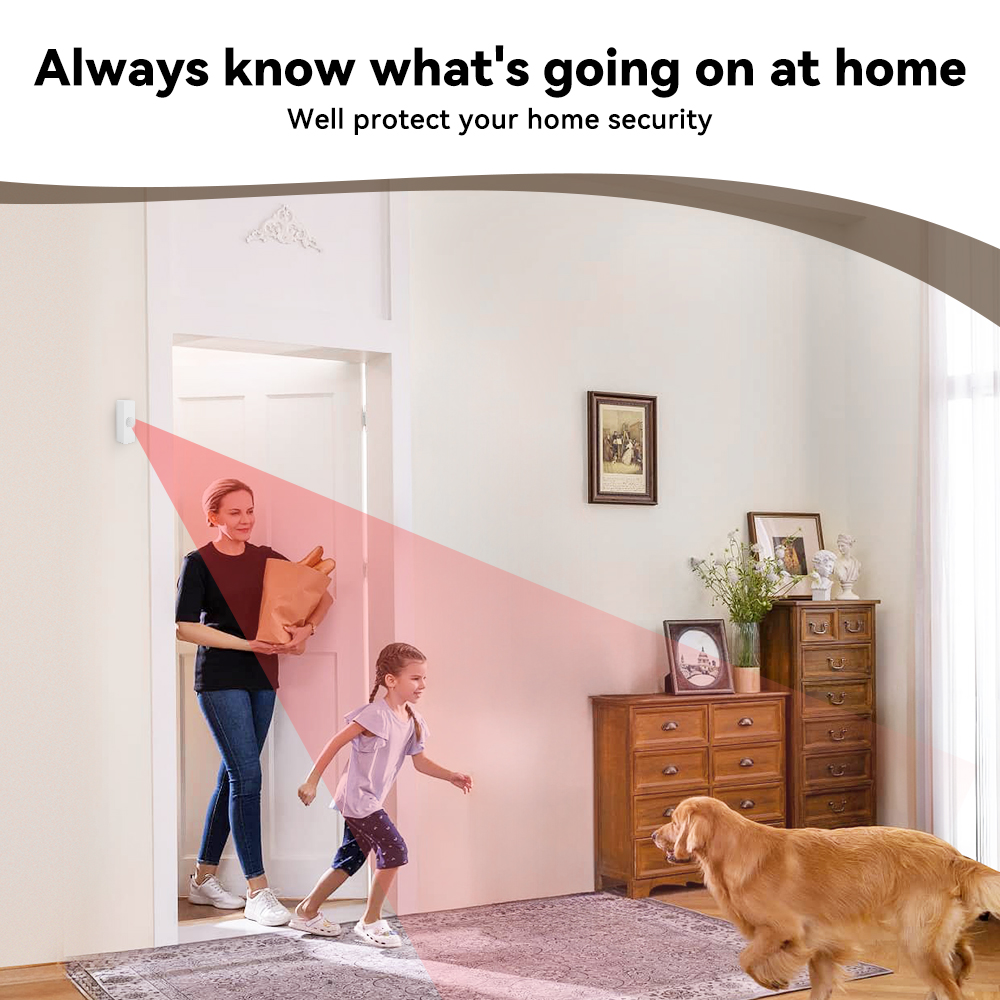 Tuya スマート PIR モーションセンサー スマートホー - Smart Home Ir のレビューと価格